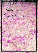 Fleurs pastel pour un doux r&eacute;confort